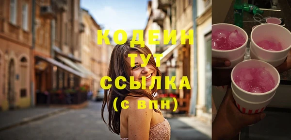 стафф Кулебаки