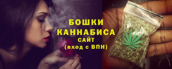 прущие грибы Куйбышев