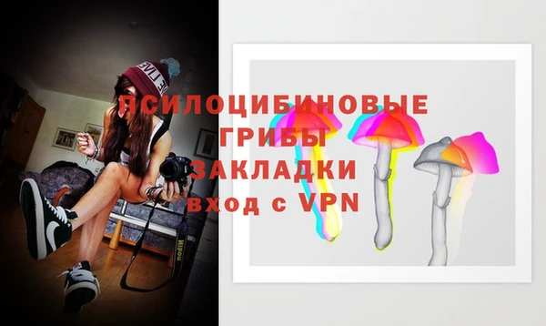 стафф Кулебаки