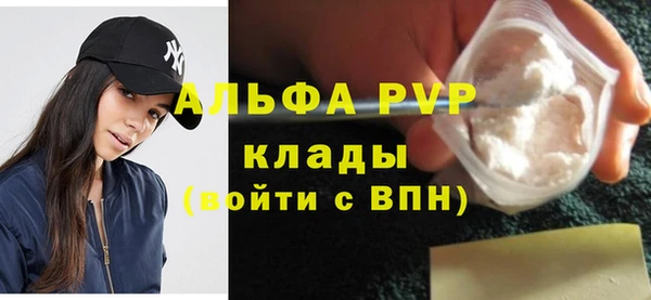 прущие грибы Куйбышев