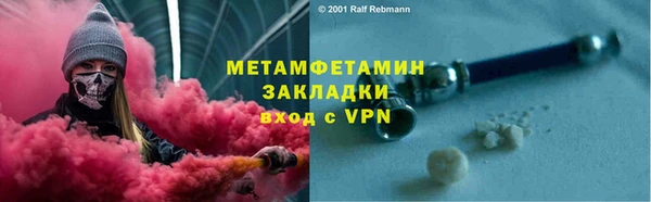 прущие грибы Куйбышев