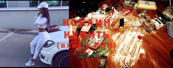 прущие грибы Куйбышев