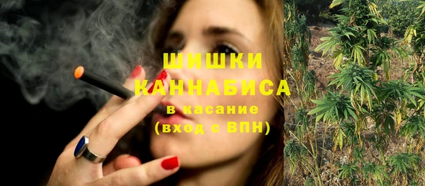 стафф Кулебаки
