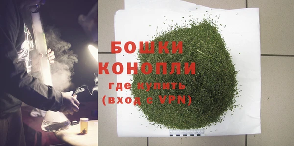 прущие грибы Куйбышев