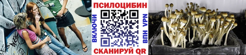 Галлюциногенные грибы Psilocybine cubensis  Благодарный 
