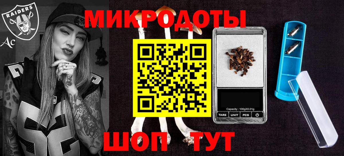 Псилоцибиновые грибы прущие грибы  Благодарный  Псилоцибиновые грибы GOLDEN TEACHER 