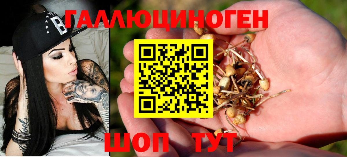 Галлюциногенные грибы прущие грибы Благодарный